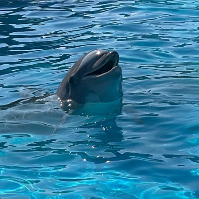 ¥8(♪2のプロフィール画像