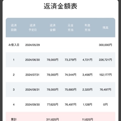 4ヶ月で借金返済する社会人1年目