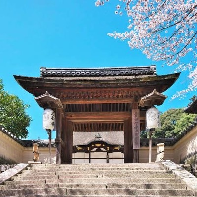 まるのプロフィール画像