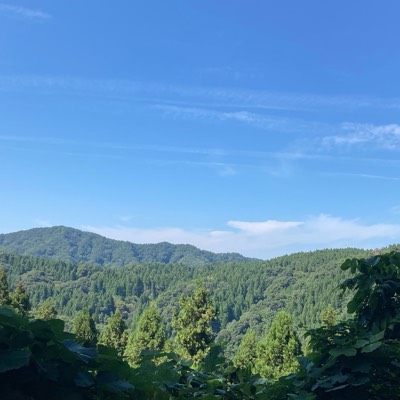 ちからのプロフィール画像