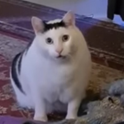 ただのしがないパチンカス