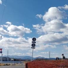 青い水7のプロフィール画像