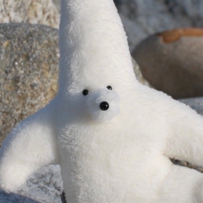 さかなのプロフィール画像