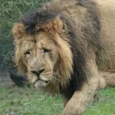 ナガスリのプロフィール画像