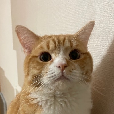 ゆ