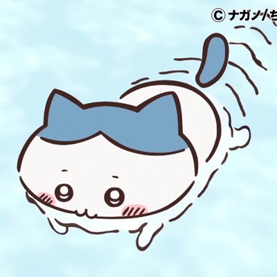 ねここ