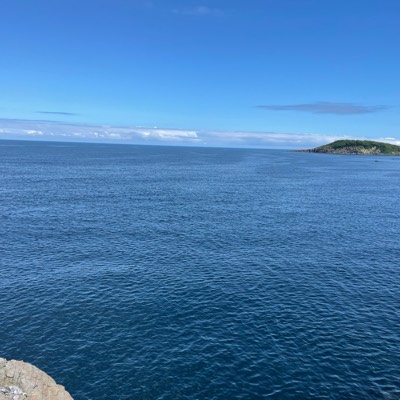 ニンゲンヤメマシタ