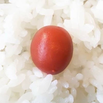 小市民のプロフィール画像