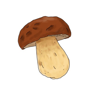 ポルチーニ茸