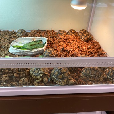 からからのプロフィール画像