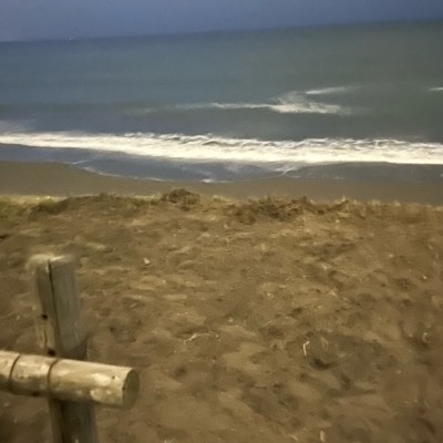 後悔