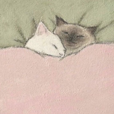 ぁゃのプロフィール画像