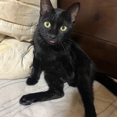 たちうおのぼる