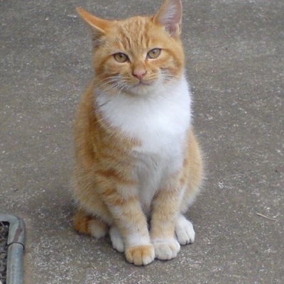 まるさんかくしかく