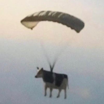 ひるまる