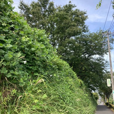 小さな経験を積んで、社会復帰をする！！のプロフィール画像