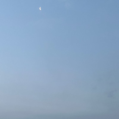 過食辞めたいのプロフィール画像