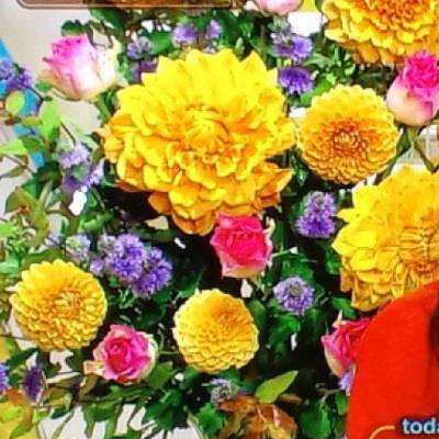 エッセンシャル💫のプロフィール画像