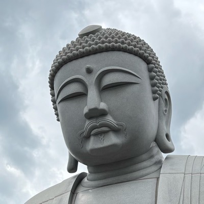 レディオペット