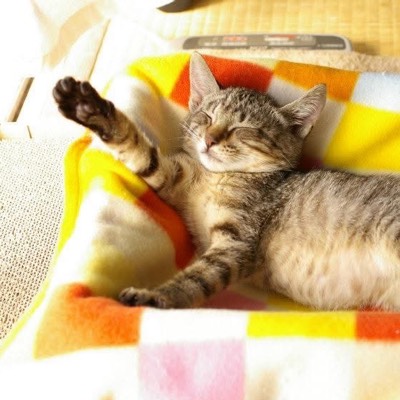 むむこのプロフィール画像