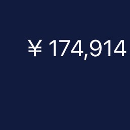 300万負け大学生