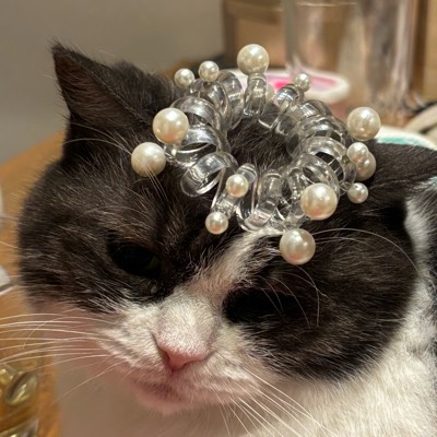 りくはなのプロフィール画像