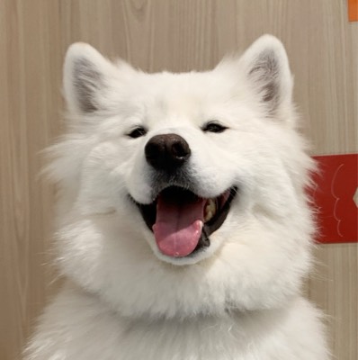まみ