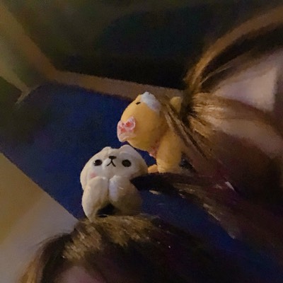 るぽのプロフィール画像