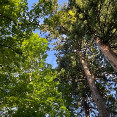 kkkkkのプロフィール画像