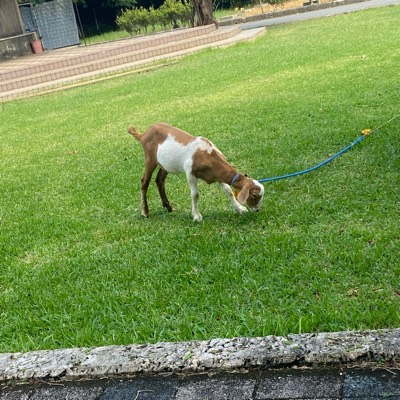 ほんとに辞めたい