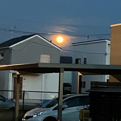 ゆうとのプロフィール画像