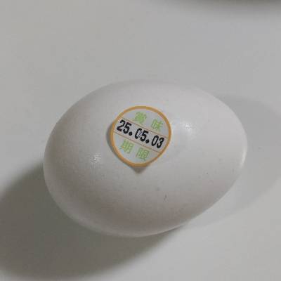 危機ヘルナンデス