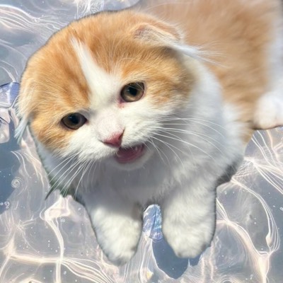 れみぃのプロフィール画像