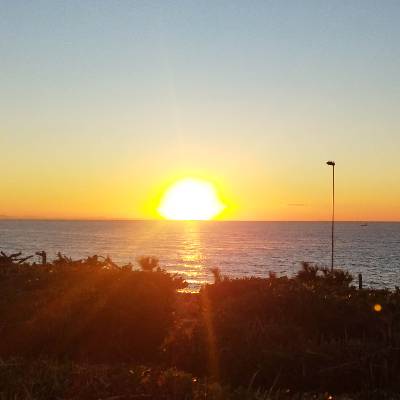 きくしんのプロフィール画像