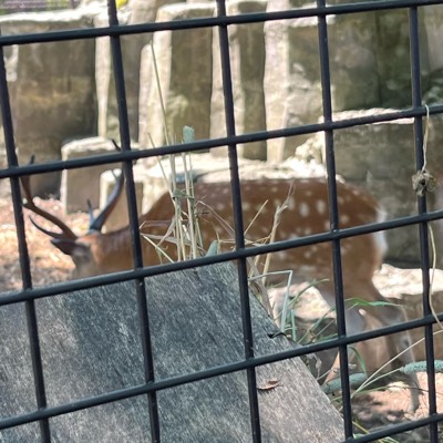 よっちのプロフィール画像