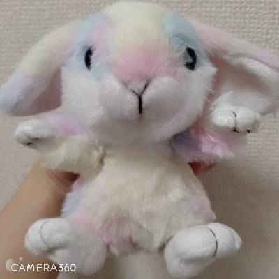 マグダラのマリアのプロフィール画像