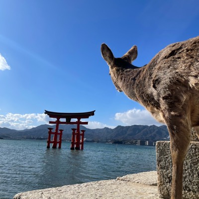 きいと