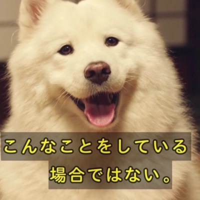 ジン/オナ禁ブースト