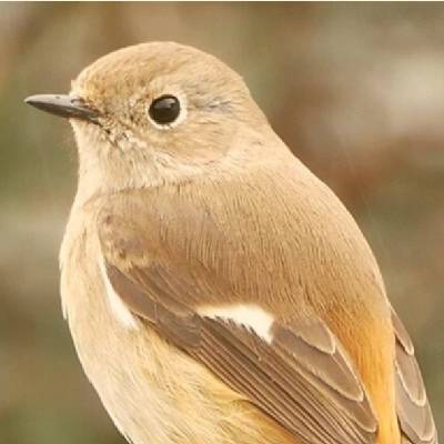 akkiのプロフィール画像