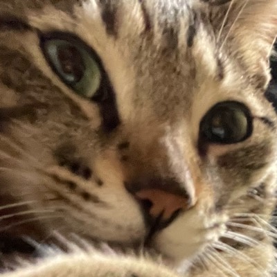 j.kのプロフィール画像