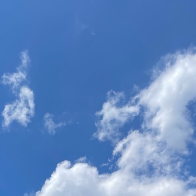 saのプロフィール画像