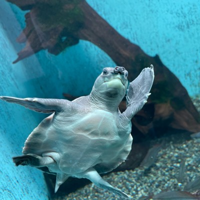 ナオのプロフィール画像