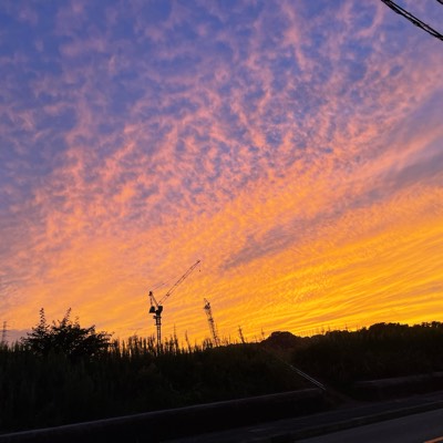 未来のプロフィール画像