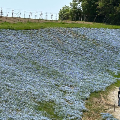 パチンカスパパ