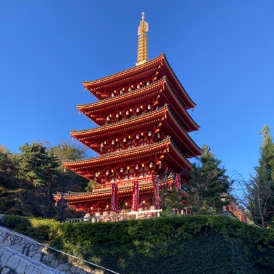 もう本気でやめたい