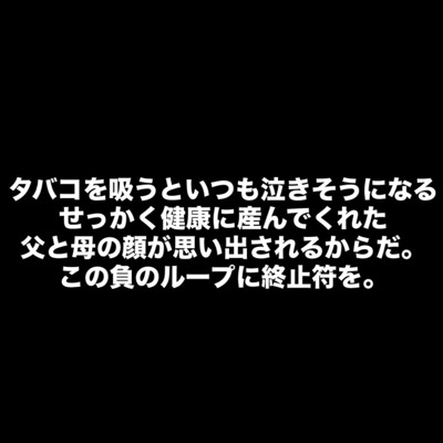 セッタが好きだった