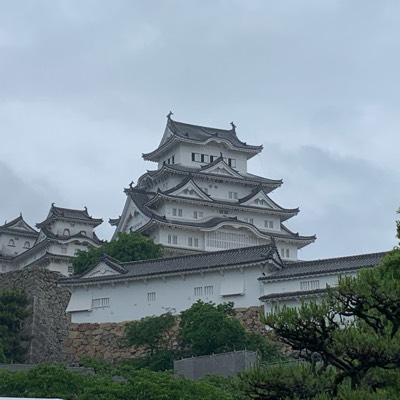 つぼつぼのプロフィール画像