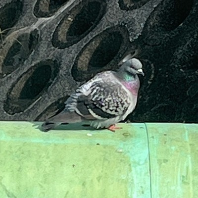 健全なゲーマー目指す