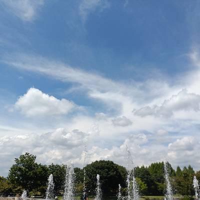 やめろうのプロフィール画像