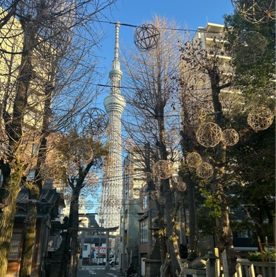 かんてんのプロフィール画像